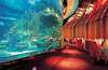 Burj Al Arab 